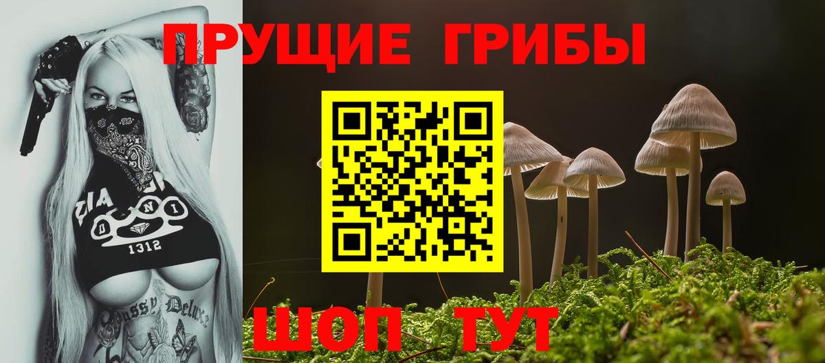 Псилоцибиновые грибы GOLDEN TEACHER Ногинск